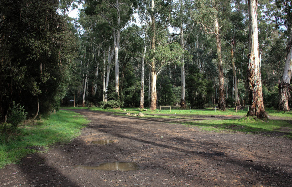 Frenchmans Creek Camping Ground