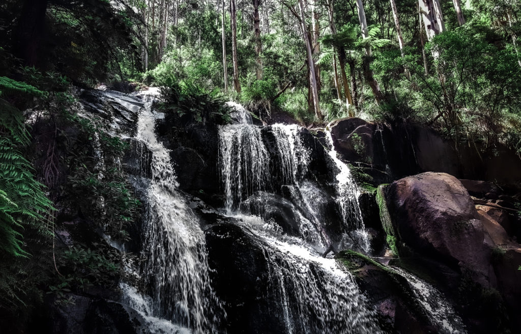 Toorongo Falls